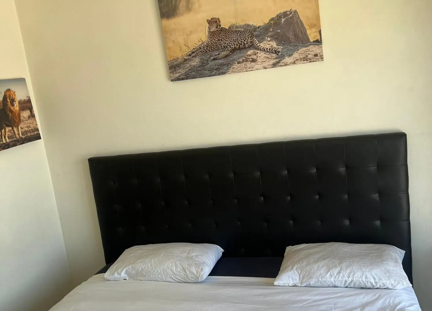 Sunny Escape Rentals Parklands